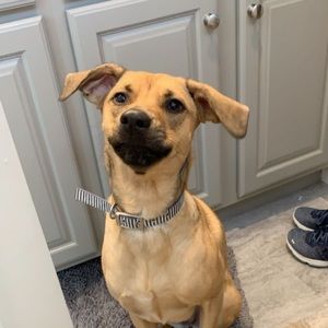 Meet your Posher, Mila